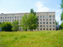 В Донецкой области родились сиамские близнецы