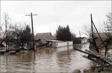 Почти 44 тысячи жителей Кубани прошли вакцинацию после наводнения