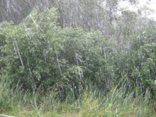 В Украине объявлено штормовое предупреждение