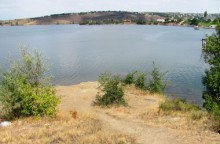 В Луганской области женщина задушила любимого, чтобы его не посадили