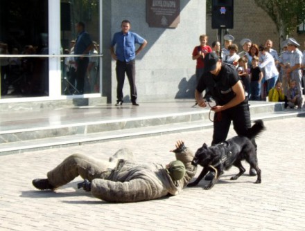 В Красноармейске милиция стала ближе к народу