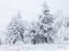 Карпаты засыпало снегом