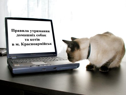 Кошек и собак заставят жить по правилам