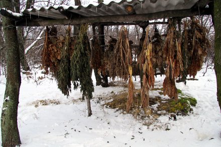 Фазанам – вязаные веники, зайцам – липу, козочкам – соль
