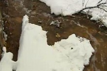 По факту загрязнения речки в Селидово начато уголовное производство