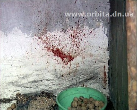 Подозреваемый в убийстве житель Красноармейска признался в содеянном