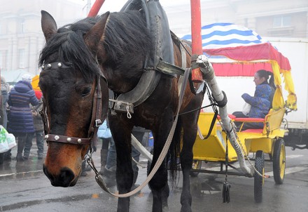 В Донецкую область пришла Масленица