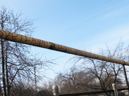 Труба зовет. Замуж