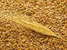 Донетчина успешно сдерживает цены на социальные сорта хлеба