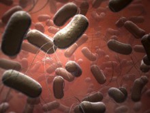 В Донецкой области участились случаи сальмонеллеза