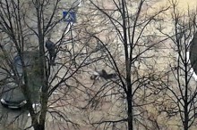 Шестая жертва стрельбы в Белгороде: девушка умерла в реанимации (ВИДЕО)