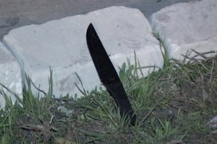 Стрелку из Белгорода предъявлено обвинение сразу по трем статьям