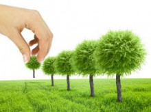 Красноармейск получил сертификат на зеленые насаждения