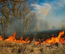 На сегодня в Восточной Украине объявлено штормовое предупреждение и пожарная опасность