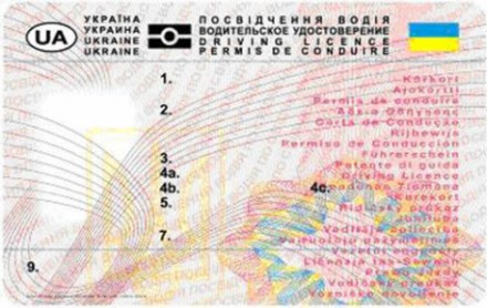 Госавтоинспекция