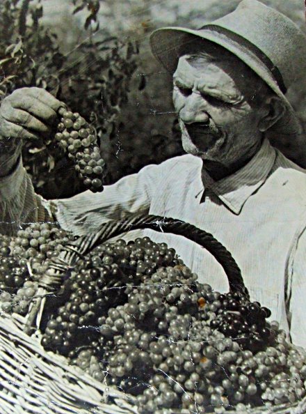 Удивительный фотомастер Марк Никитович Железняк