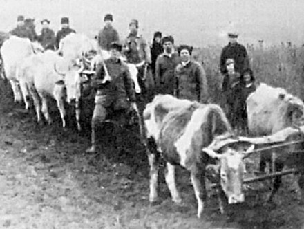 Удивительный фотомастер Марк Никитович Железняк