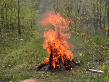 За костры в лесах будут штрафовать