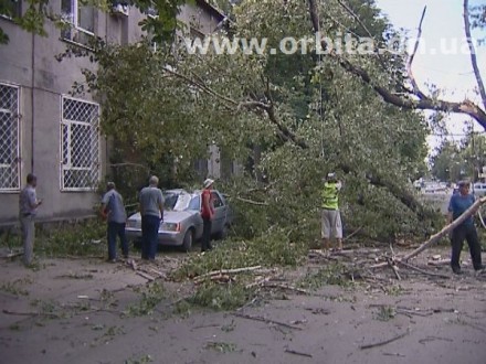 В Красноармейске продолжают падать деревья