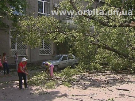 В Красноармейске продолжают падать деревья