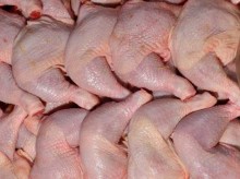 Казахстан обнаружил в мясе птицы из Украины бактерии кишечной палочки