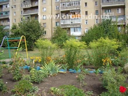 В Красноармейске определили лучший двор