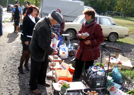 Власть против стихии