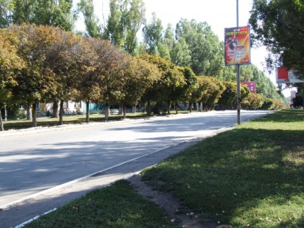 В Красноармейске появятся места для парковки и свадебных прогулок