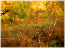 С 23 октября в Украине снова потеплеет