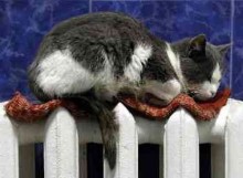 Завтра дома в центре Красноармейска начнут отапливаться