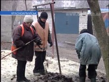 Красноармейское «Управление городского хозяйства»: собак отловили, деревья опилили, к зиме готовы!