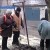 Красноармейское «Управление городского хозяйства»: собак отловили, деревья опилили, к зиме готовы!