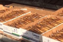 На Донетчине торговцев испорченной рыбой привлекли к ответственности