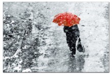 Завтра в Украине ожидаются дожди и мокрый снег