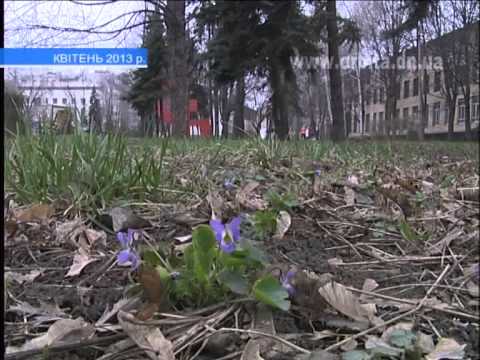 Красноармейску есть чем гордиться в уходящем году