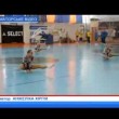 ФСК «Олимпийский»: 14 золотых медалей на одном чемпионате!