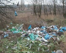 Жители села в Красноармейском районе возмущены мусорной свалкой возле кафе 