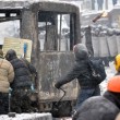 berkut