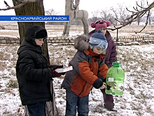 Помоги птицам в лютые холода