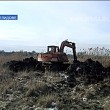 Мор рыбы в селе Желтое. Возможная причина найдена?