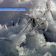 Не повредит ли озимым температурный «минус» после «плюса»?