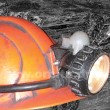 coal