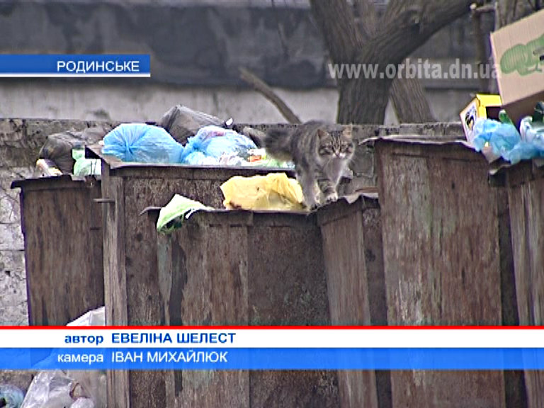 Улицы многострадального Родинского снова утопают в мусоре
