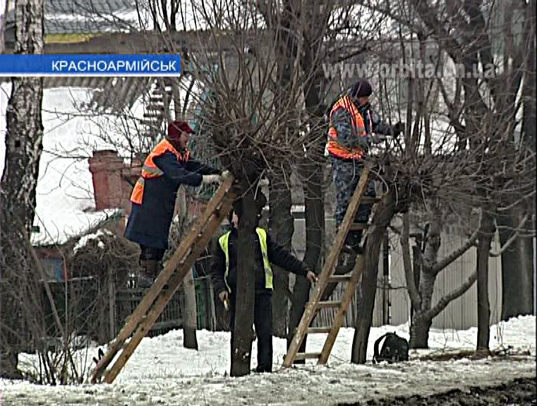 Обрезка деревьев – по плану