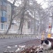 rodinskoe