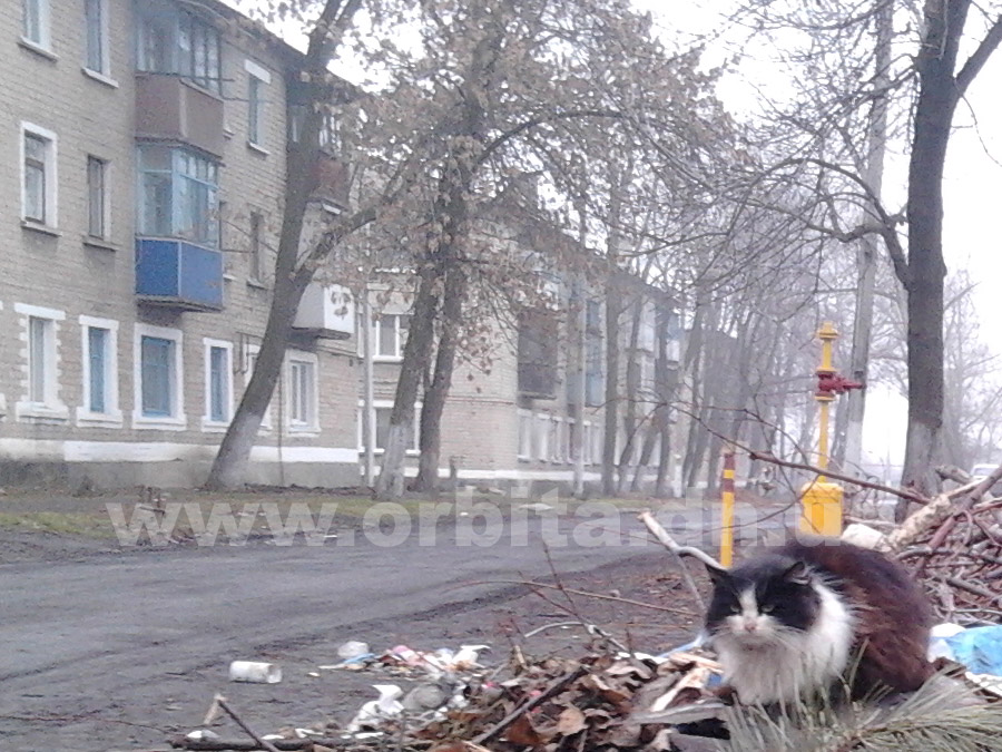 rodinskoe
