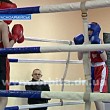 Региональный турнир по боксу собрал сильнейших