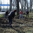Субботник в Красноармейске поддержали сотни горожан