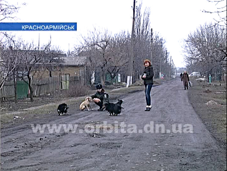 Бездомные Жуля и Рыжуля ищут хозяев