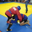 sambo